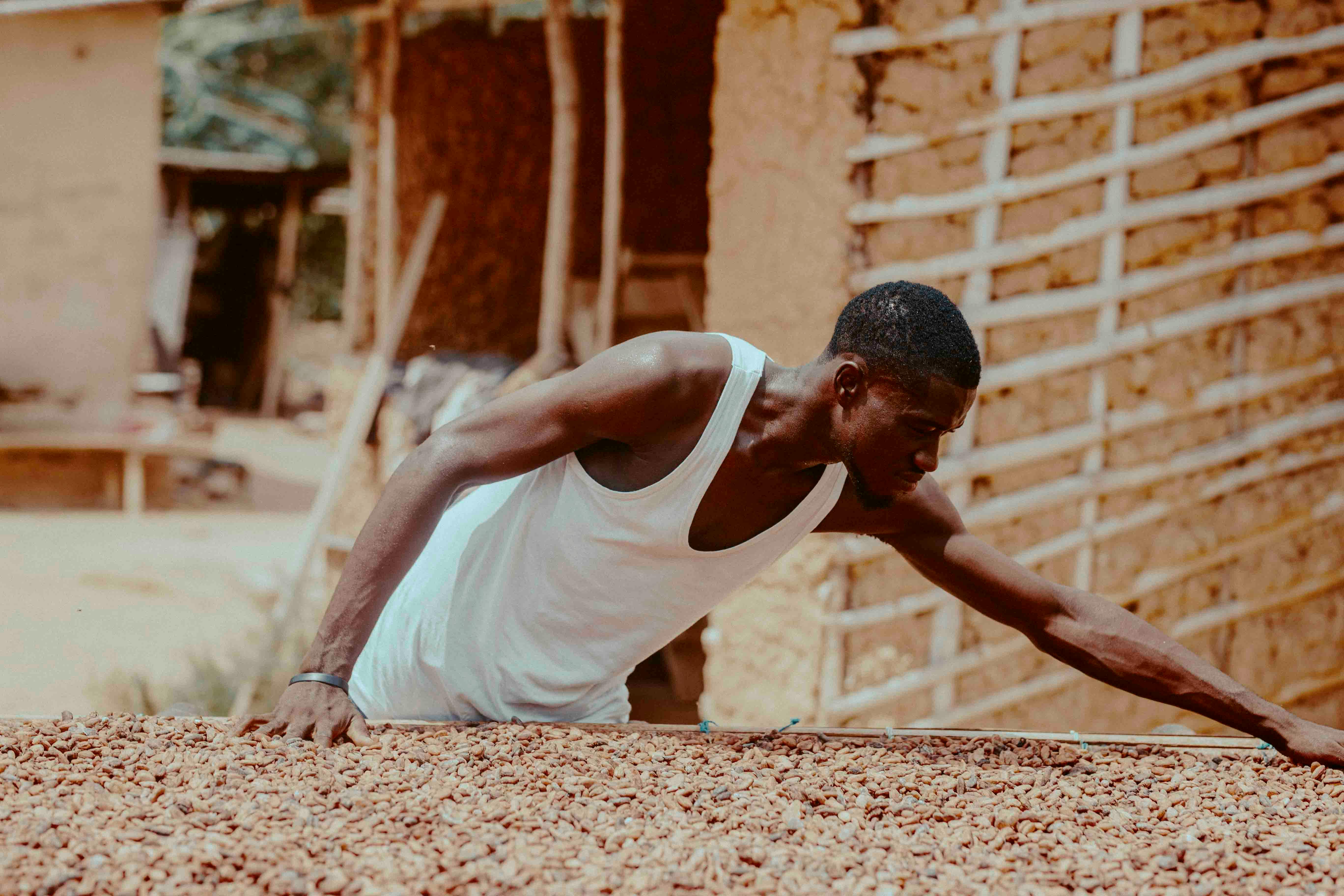 Cacao 5