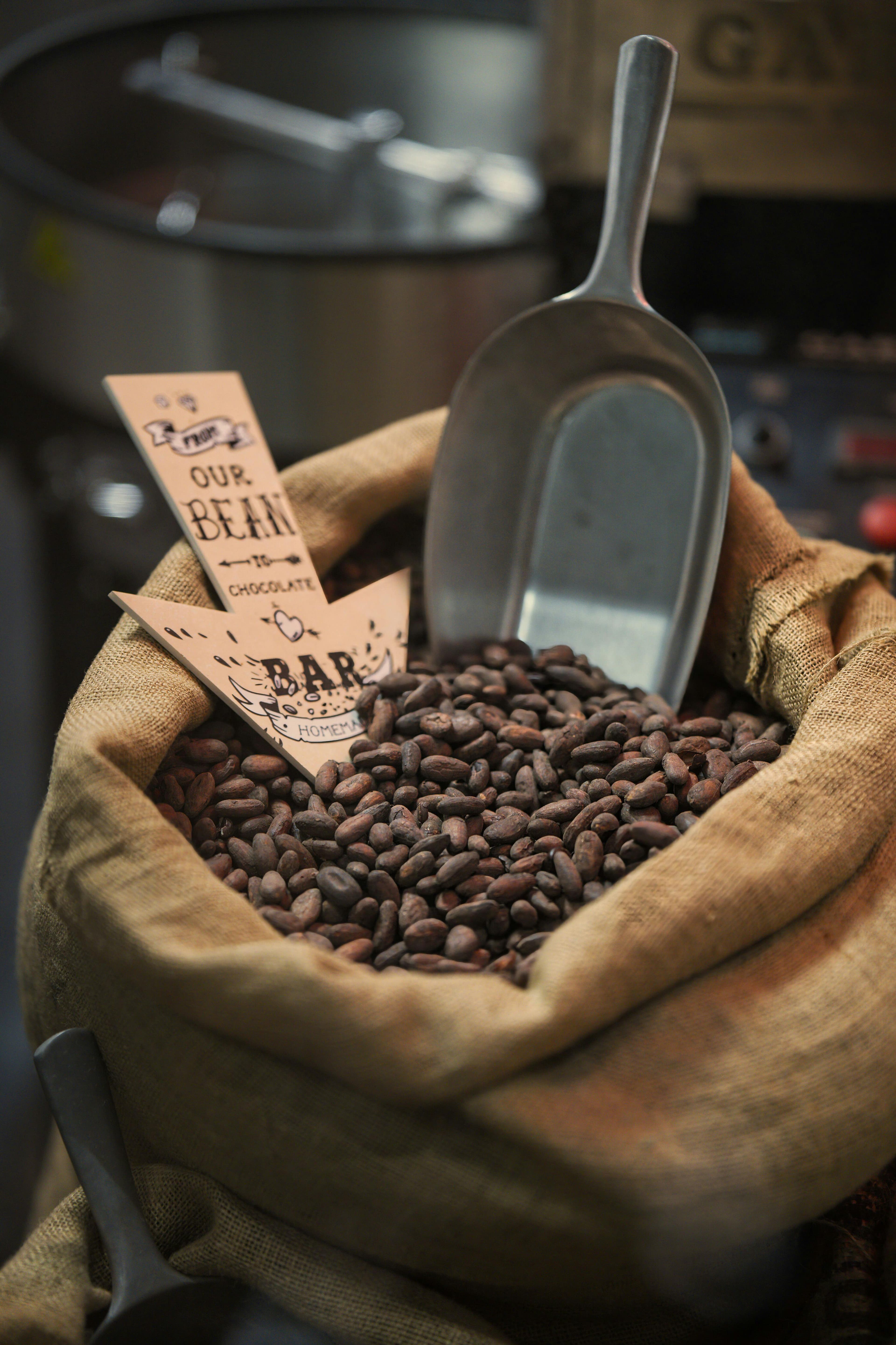 Cacao 6