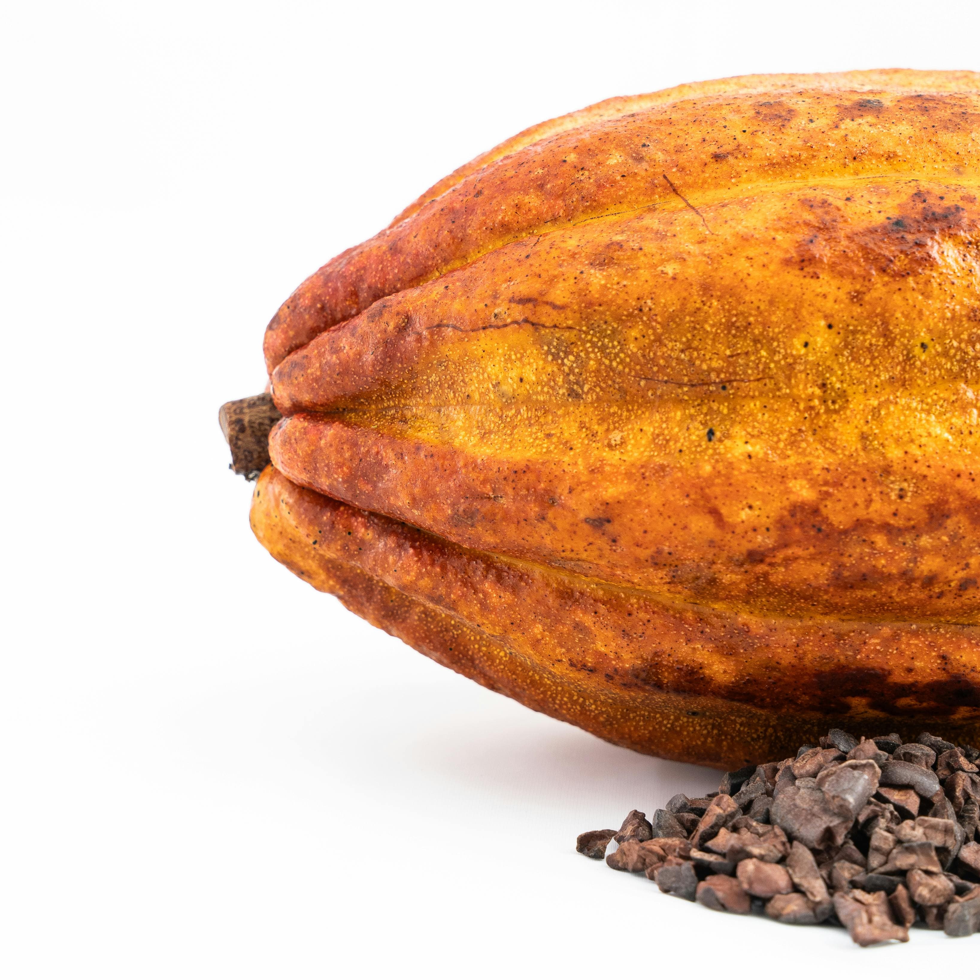 Cacao 2