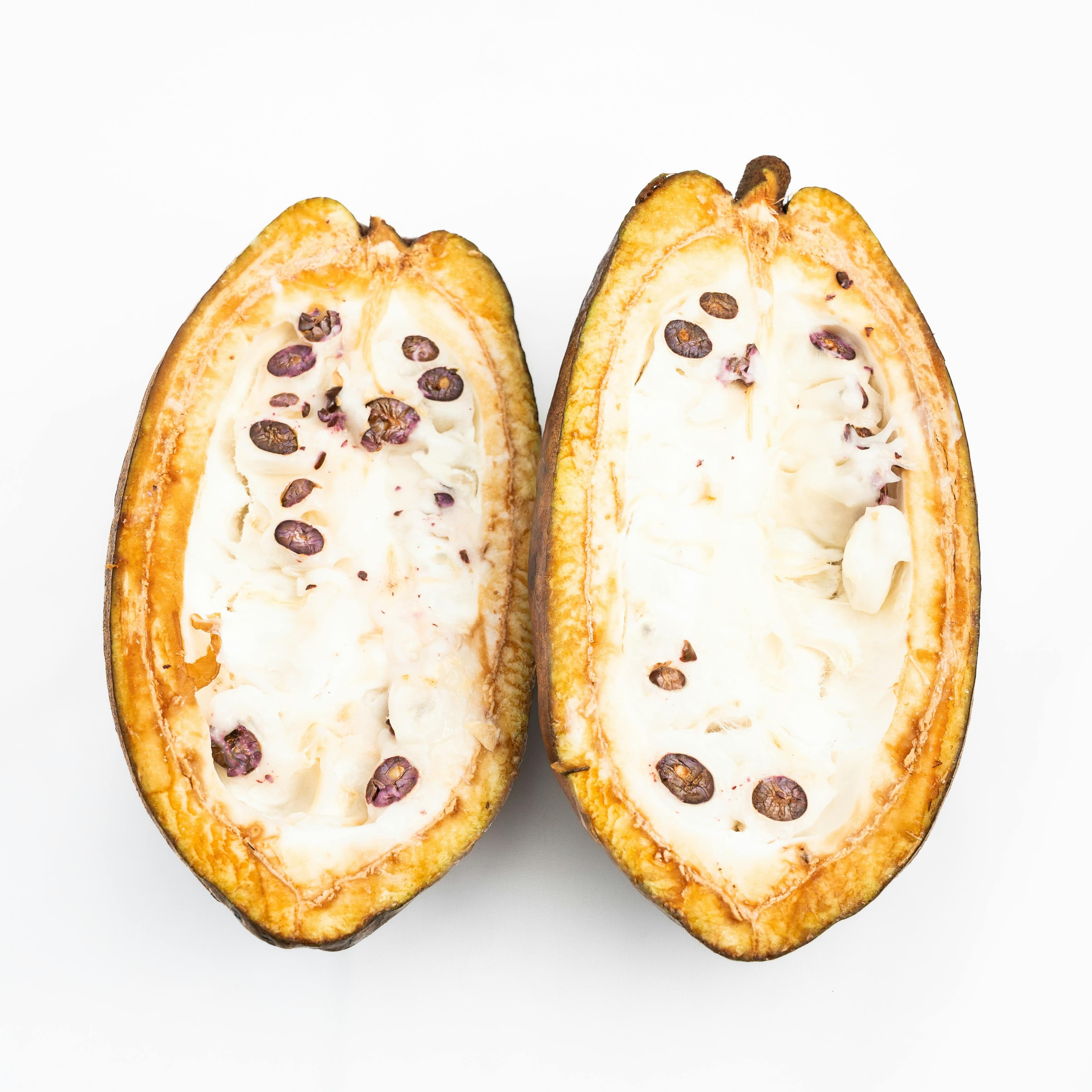 Cacao 1