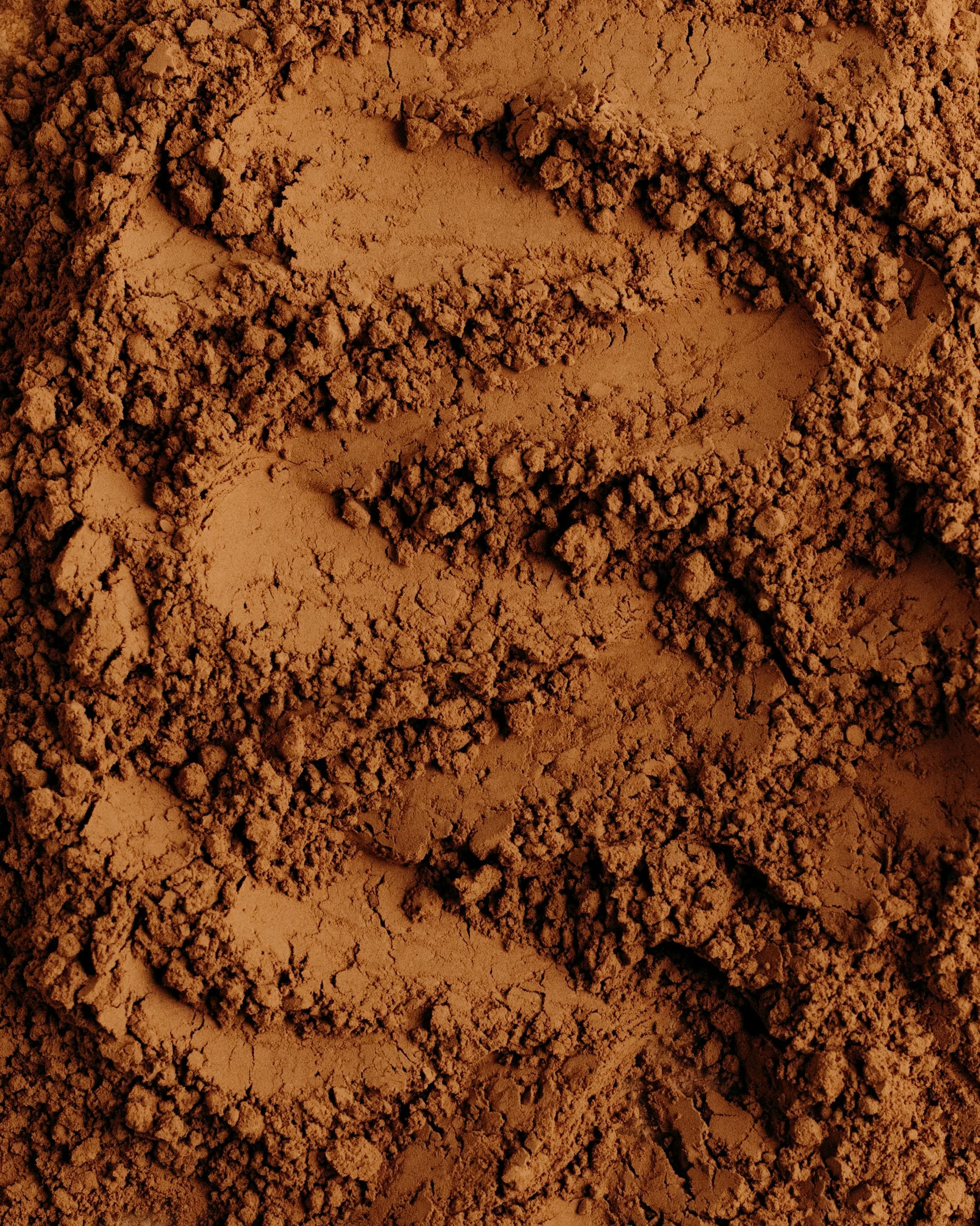 Cacao 7